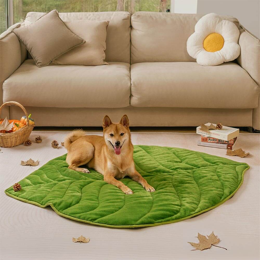 Streifli® Leaf-Shaped Washable Dog Mat-The Leaf Collector