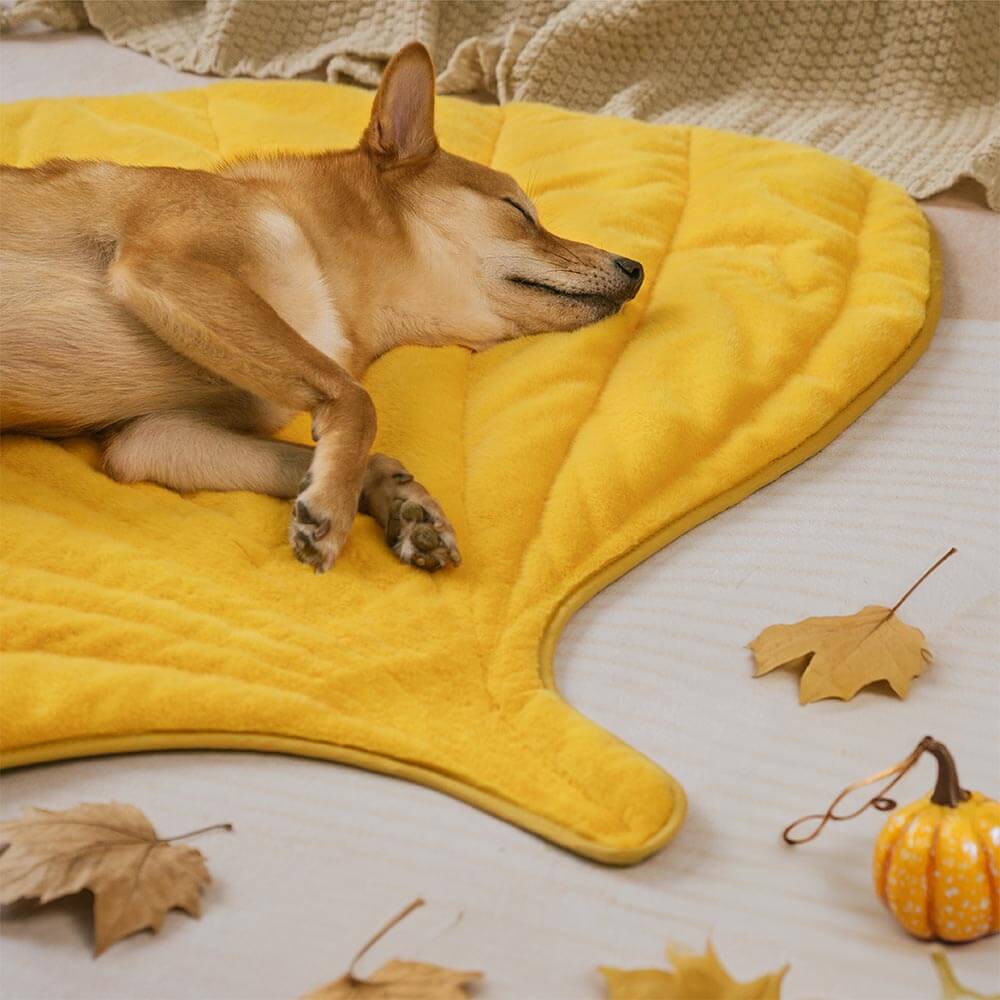 Streifli® Leaf-Shaped Washable Dog Mat-The Leaf Collector