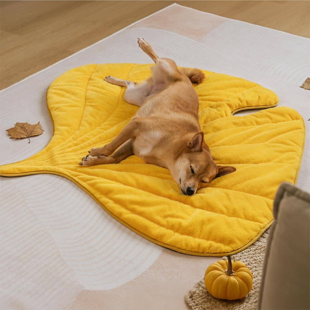 Streifli® Leaf-Shaped Washable Dog Mat-The Leaf Collector