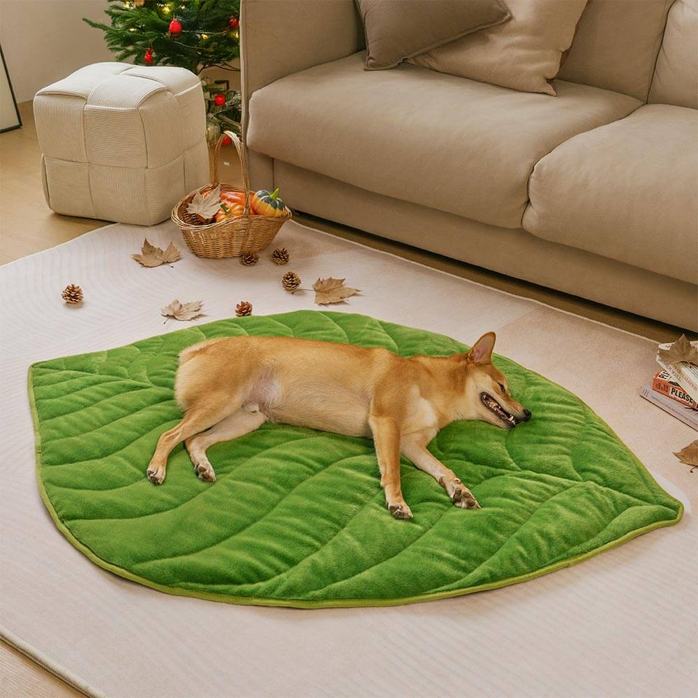 Streifli® Leaf-Shaped Washable Dog Mat-The Leaf Collector