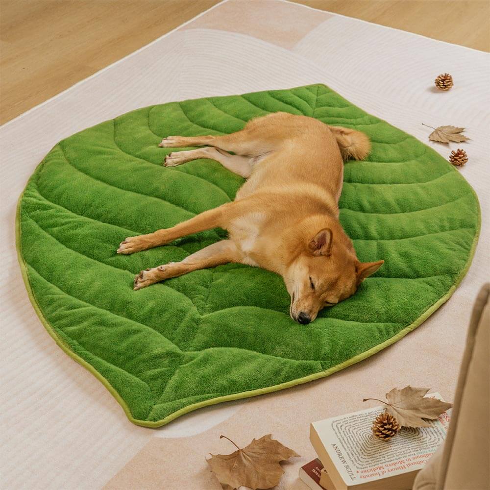 Streifli® Leaf-Shaped Washable Dog Mat-The Leaf Collector