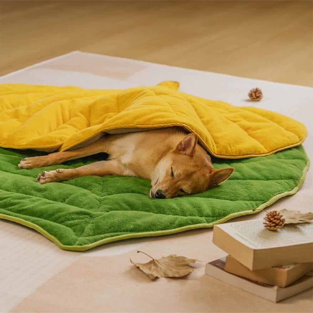 Streifli® Leaf-Shaped Washable Dog Mat-The Leaf Collector